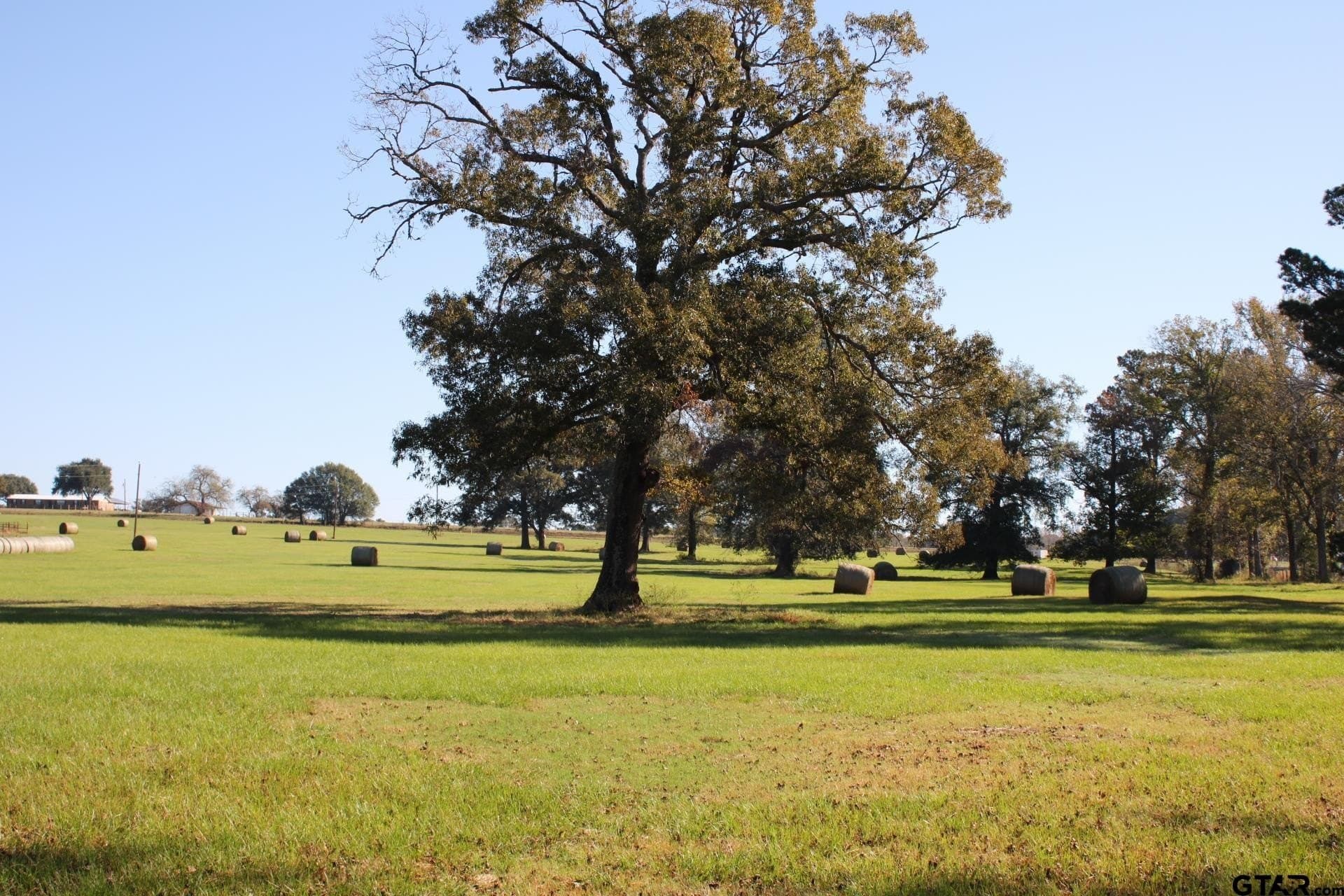 85.51 acres in Cherokee County - photo 46