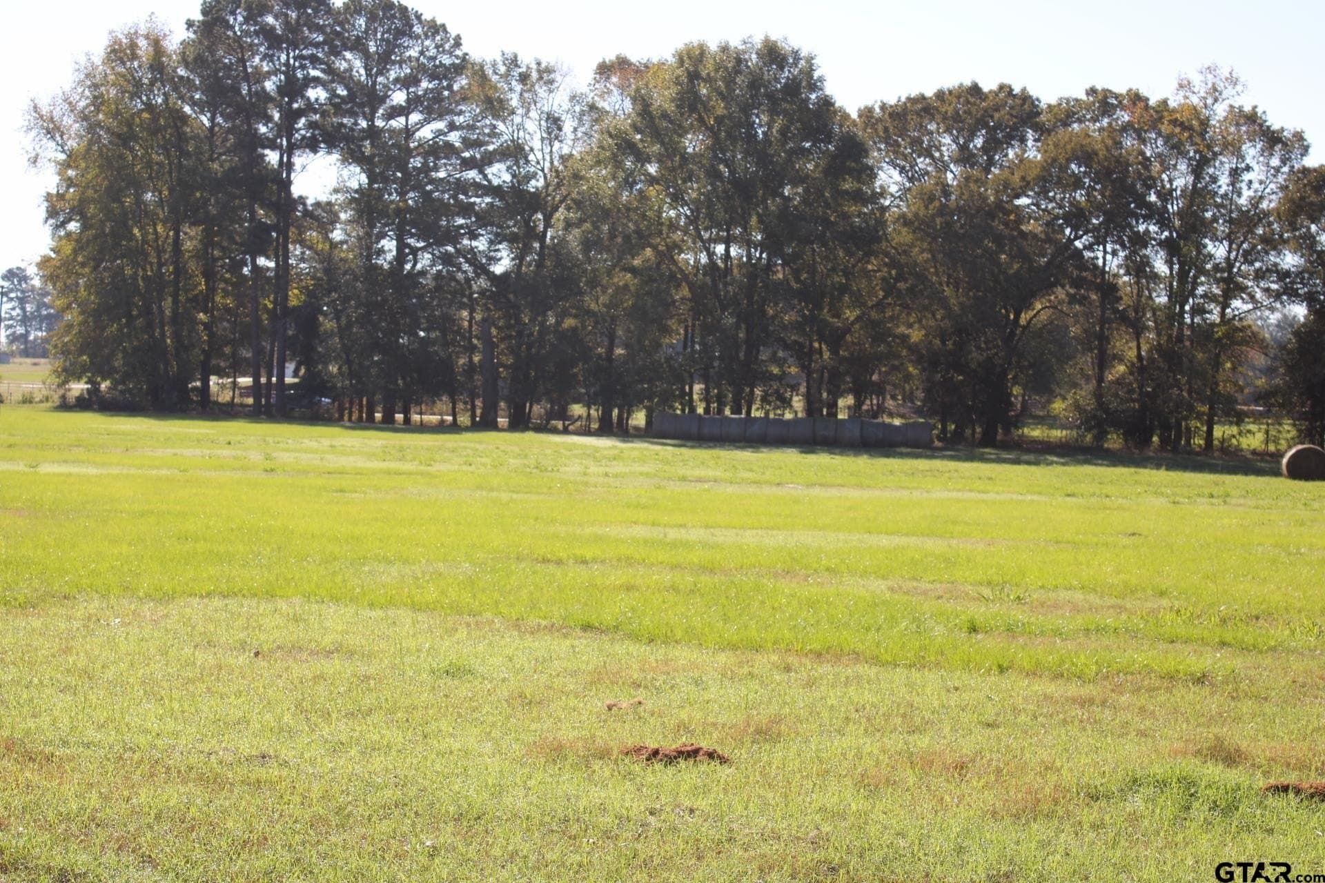 85.51 acres in Cherokee County - photo 43