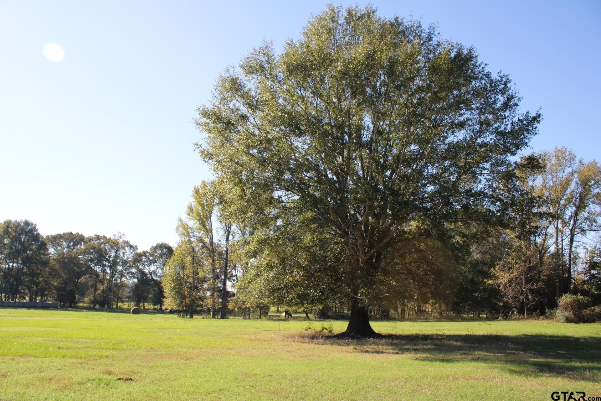 85.51 acres in Cherokee County - photo 44