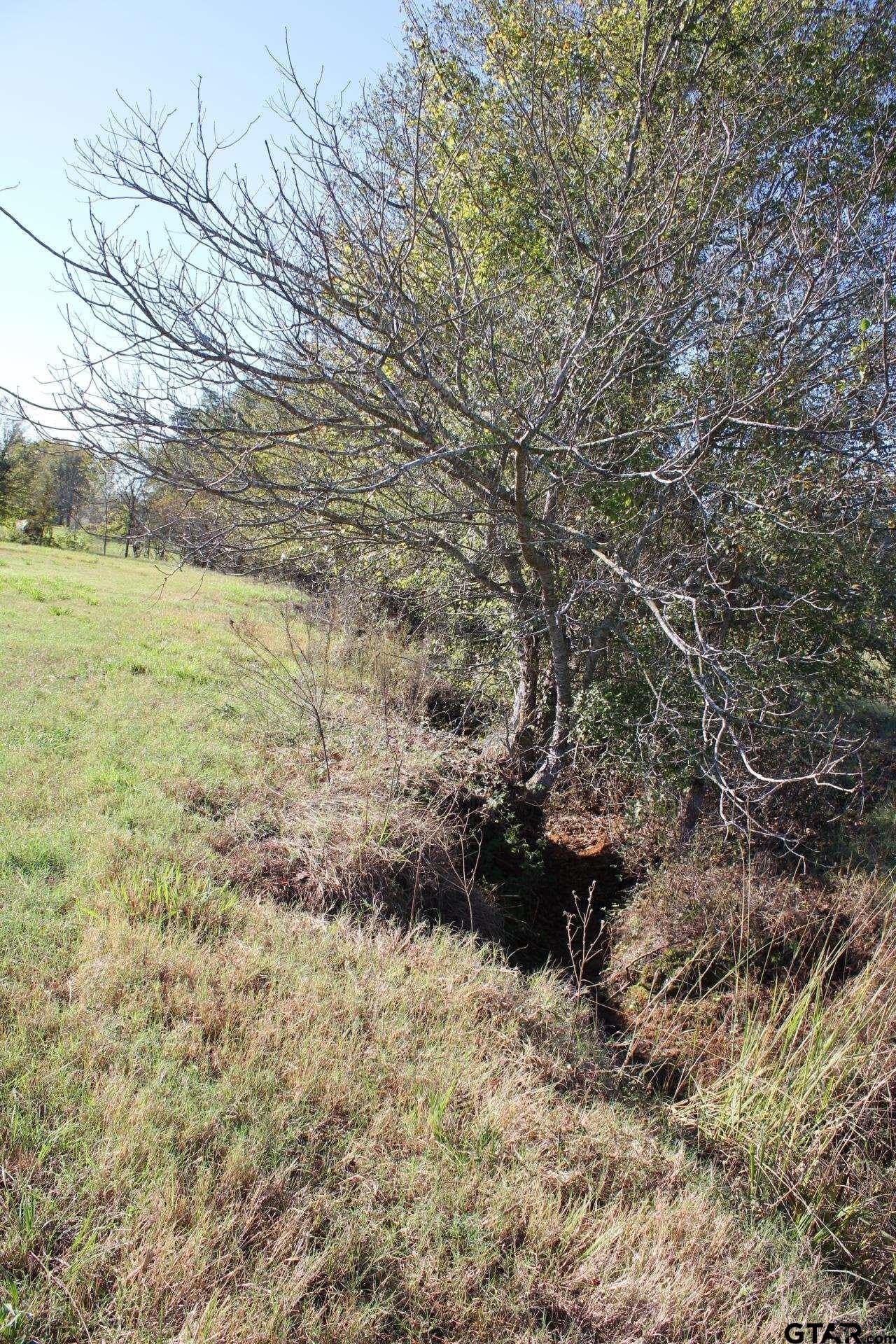 85.51 acres in Cherokee County - photo 29