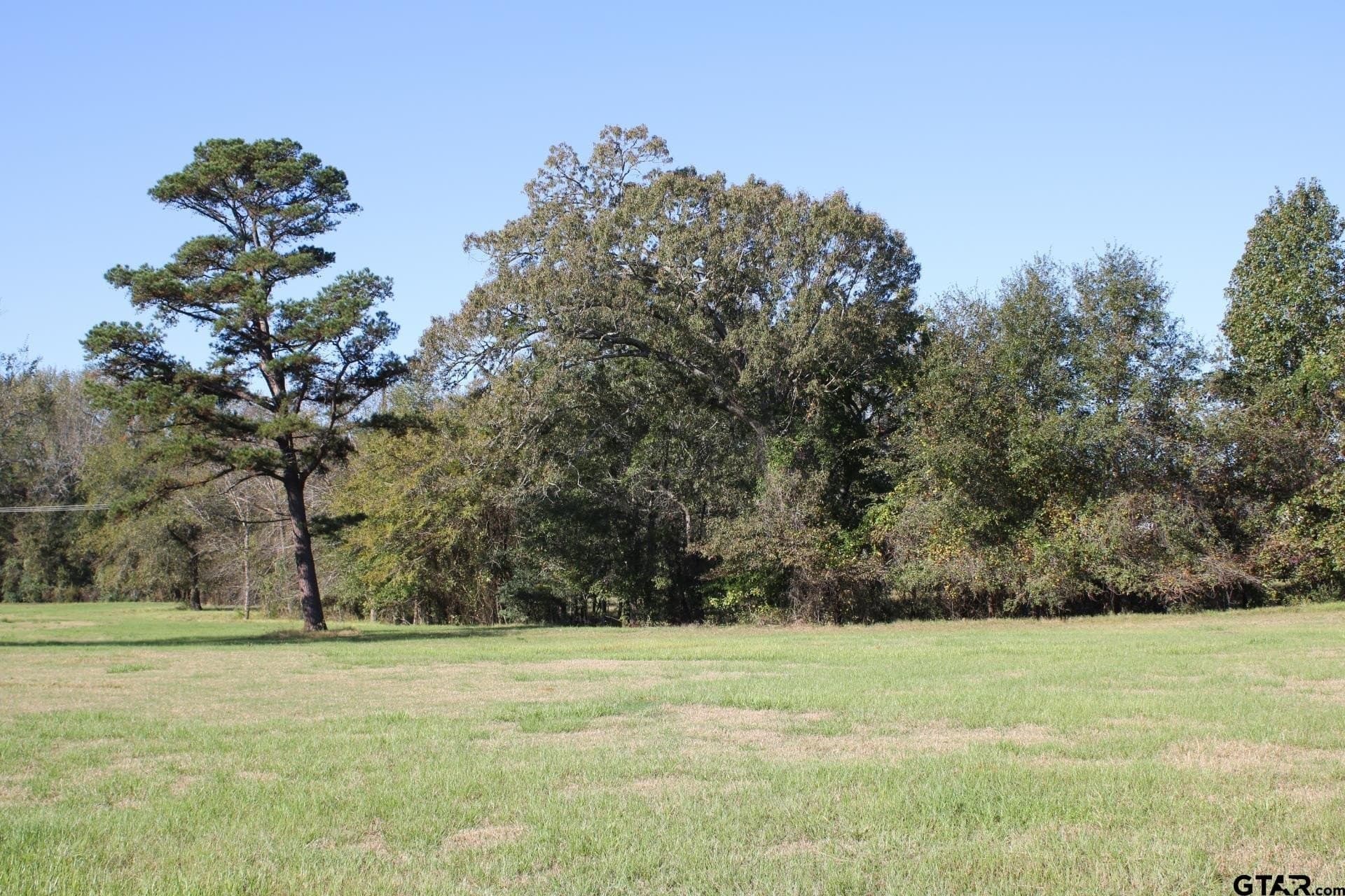 85.51 acres in Cherokee County - photo 33