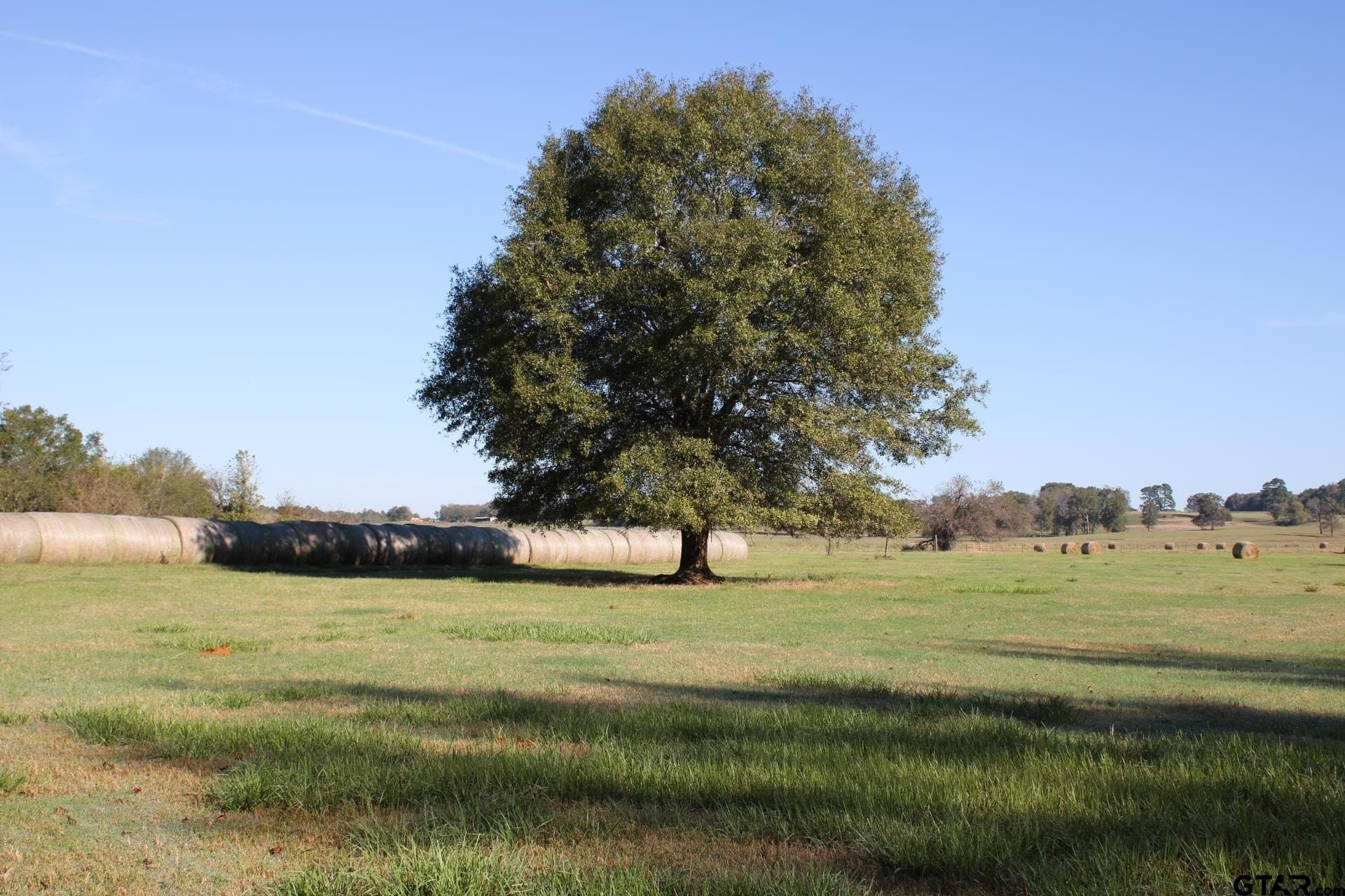 85.51 acres in Cherokee County - photo 34
