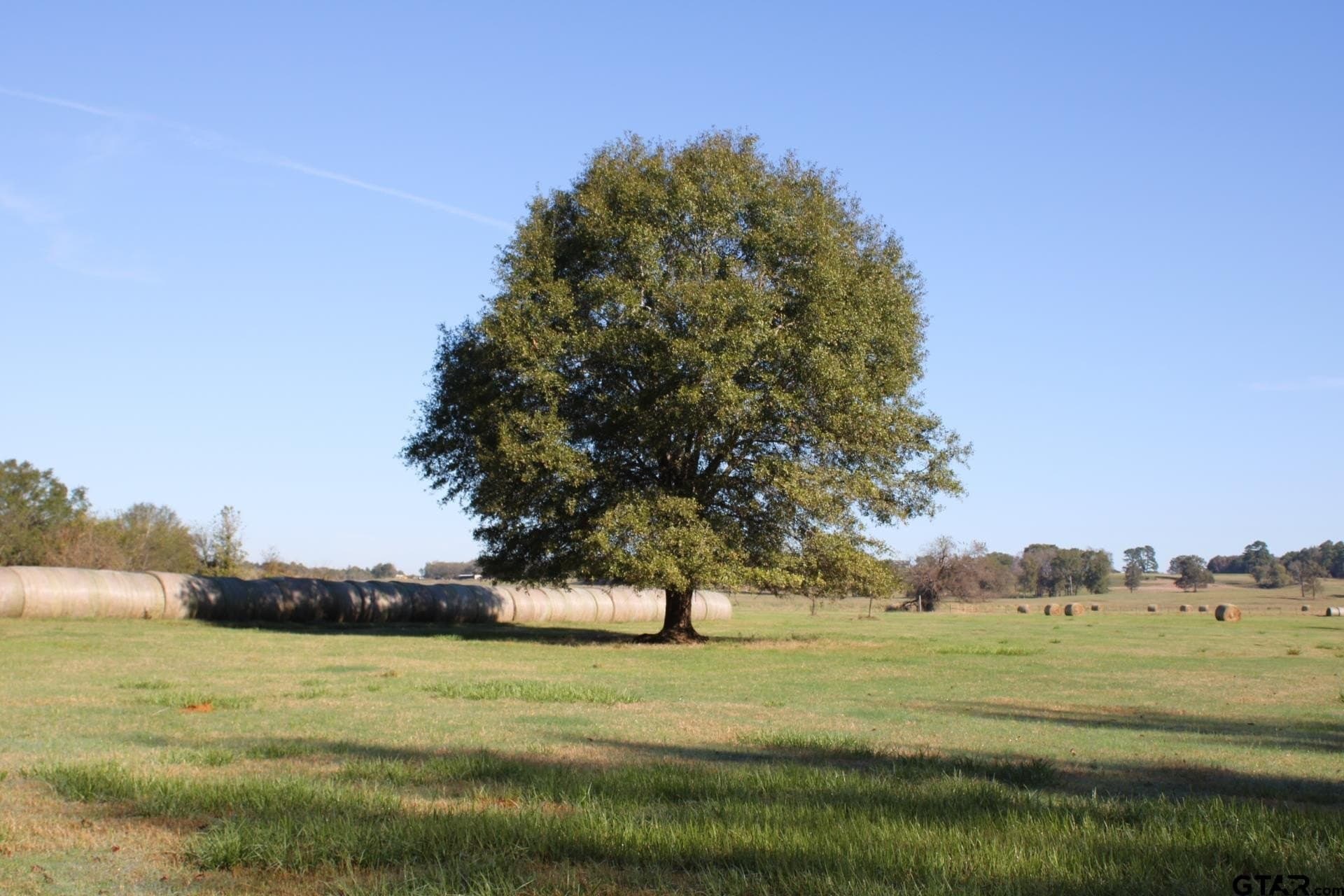 85.51 acres in Cherokee County - photo 35