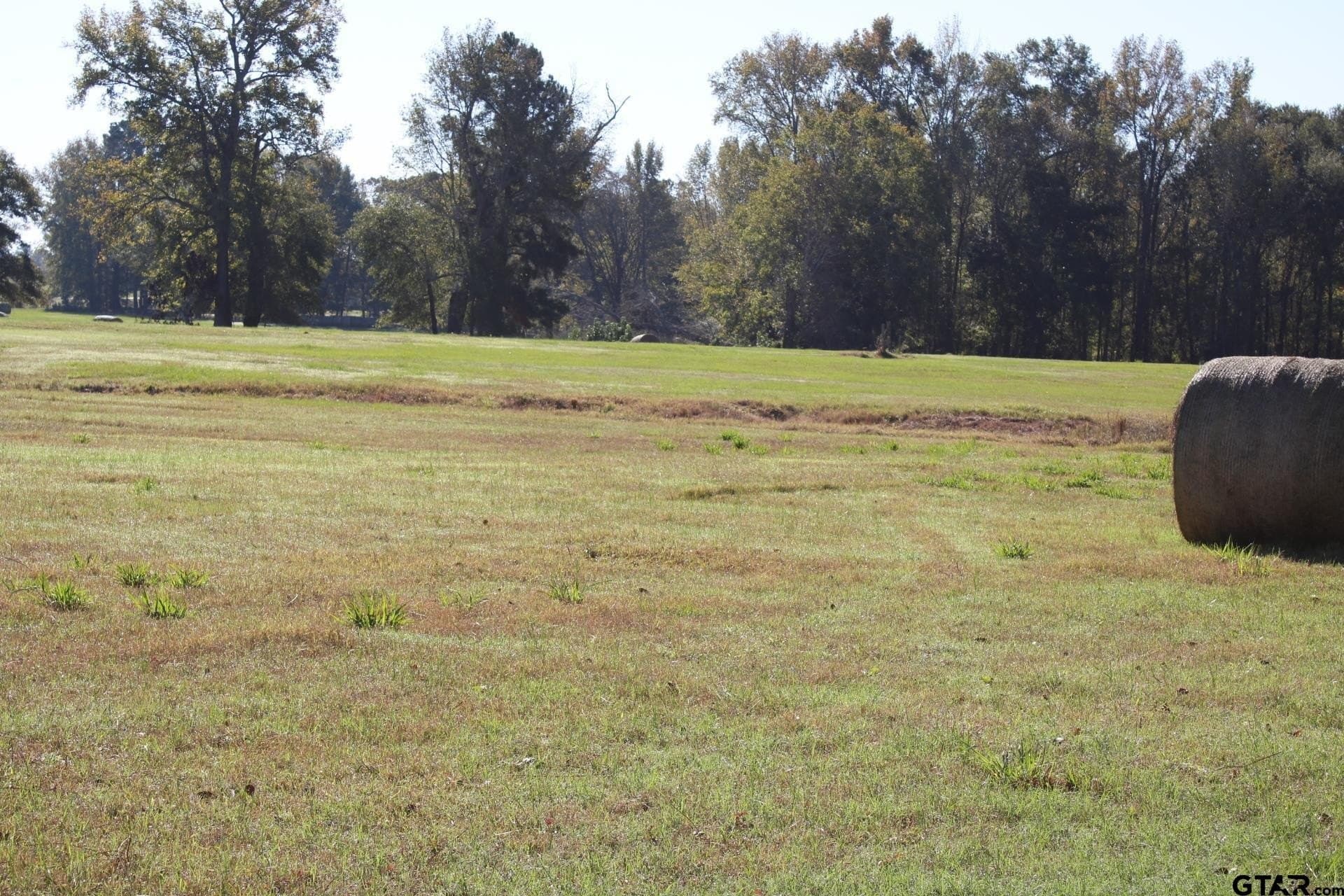 85.51 acres in Cherokee County - photo 32