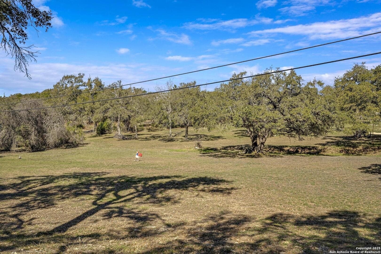 16.68 acres in Comal County - photo 33