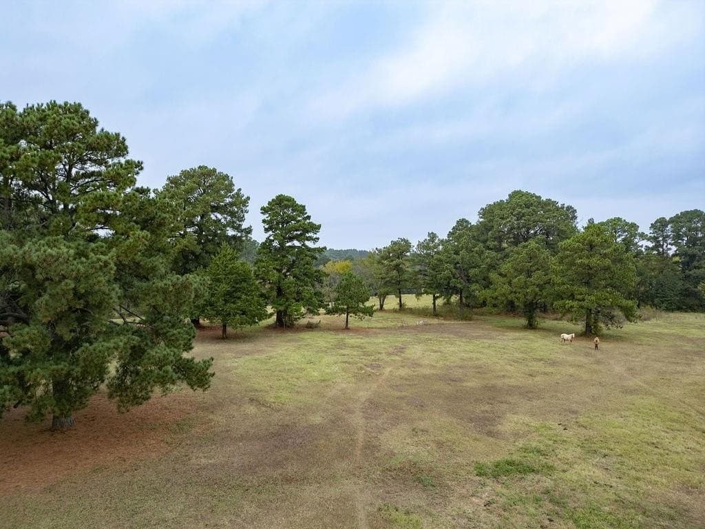 50 acres in Smith County - photo 9