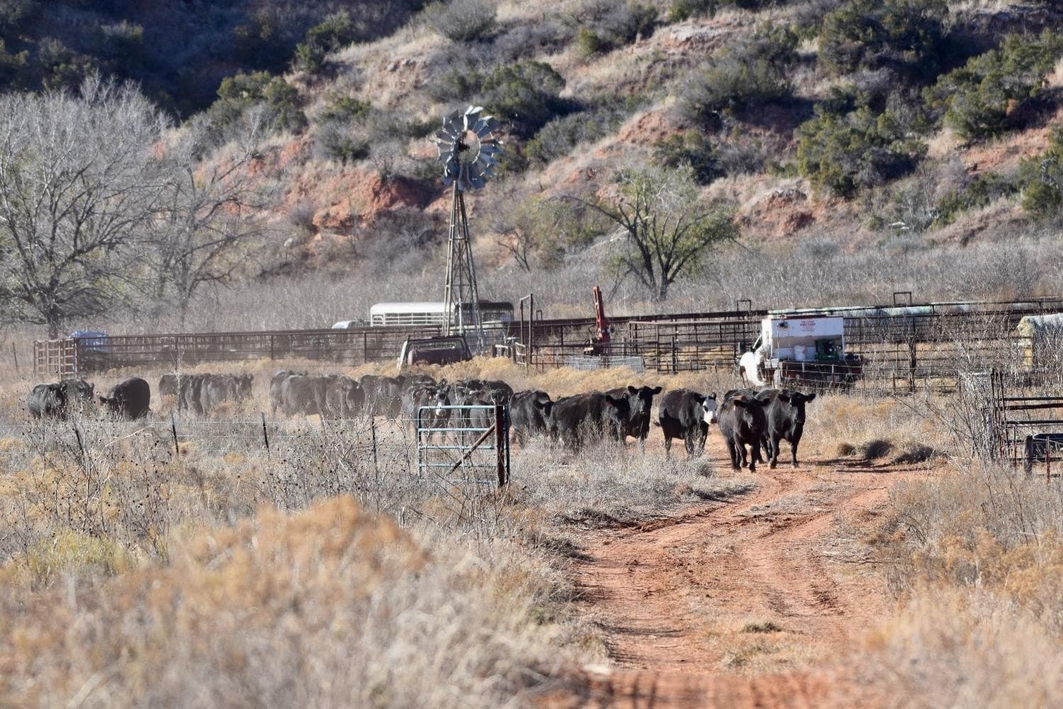 9,586 acres in Briscoe County - photo 37