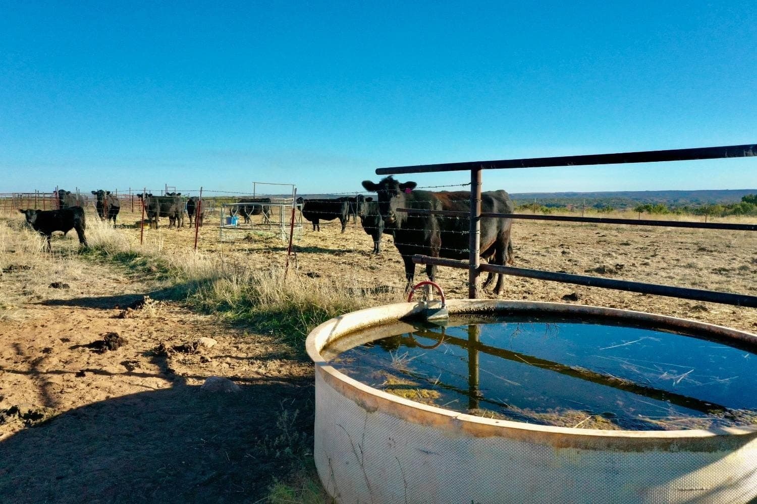 9,586 acres in Briscoe County - photo 42