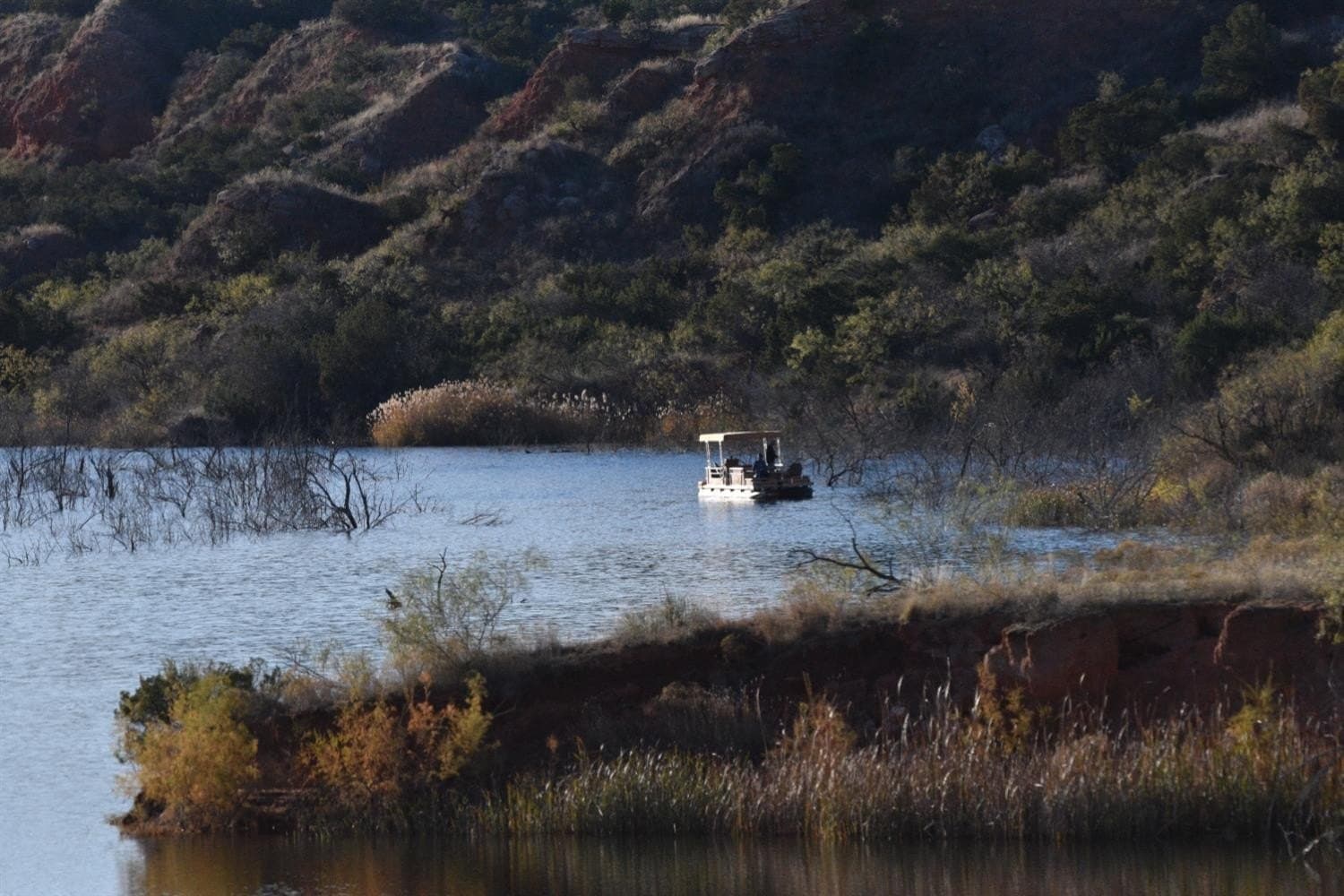9,586 acres in Briscoe County - photo 4
