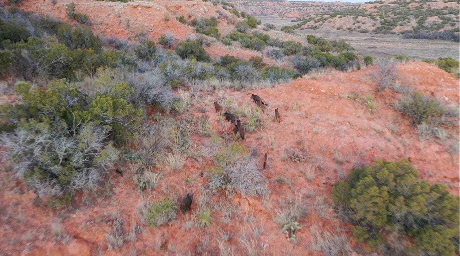 9,586 acres in Briscoe County - photo 33