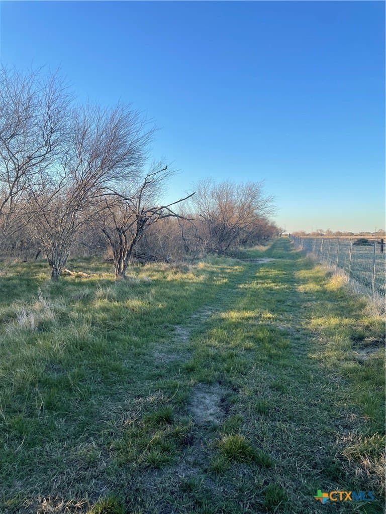 10 acres in Victoria County - photo 5