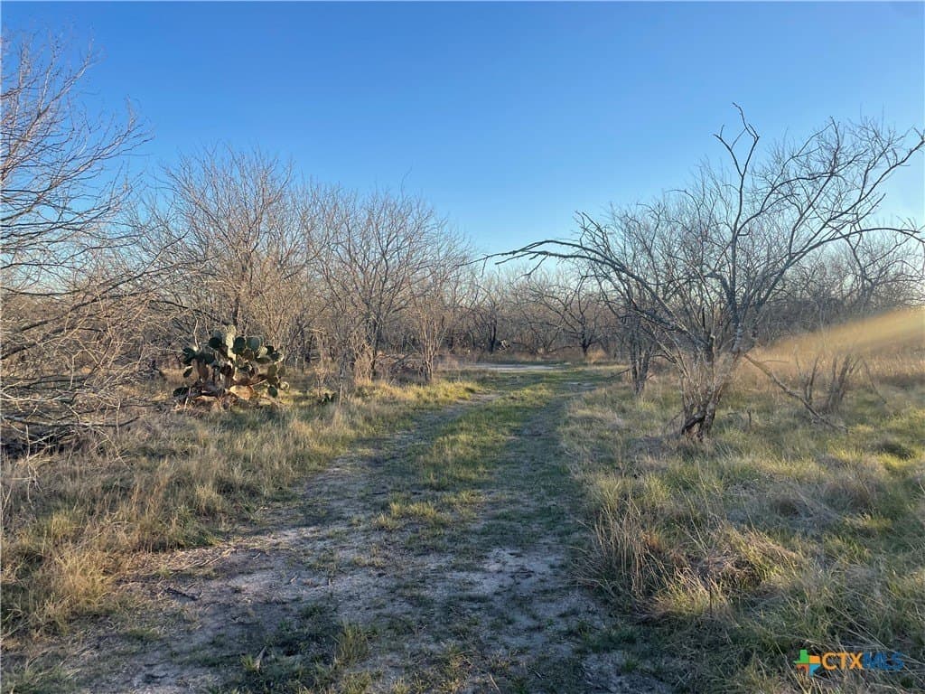 10 acres in Victoria County - photo 7