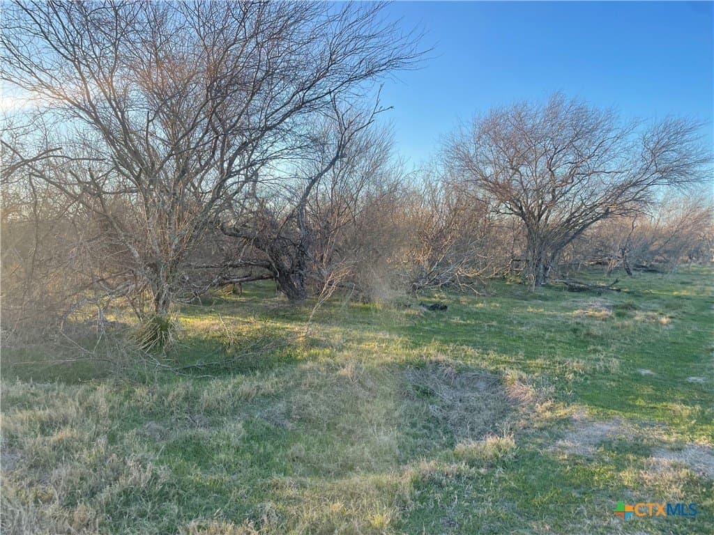 10 acres in Victoria County - photo 9