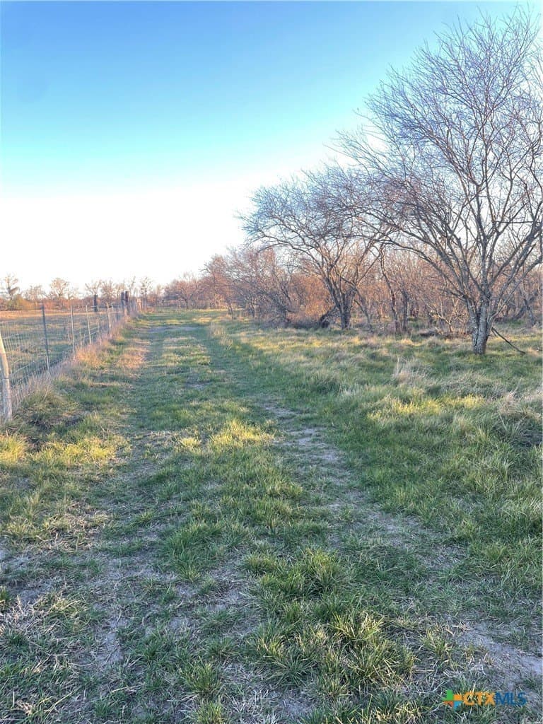 10 acres in Victoria County - photo 6