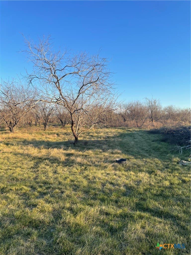 10 acres in Victoria County - photo 8