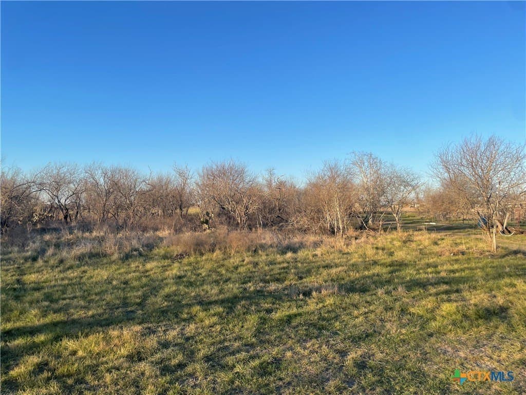 10 acres in Victoria County - photo 3