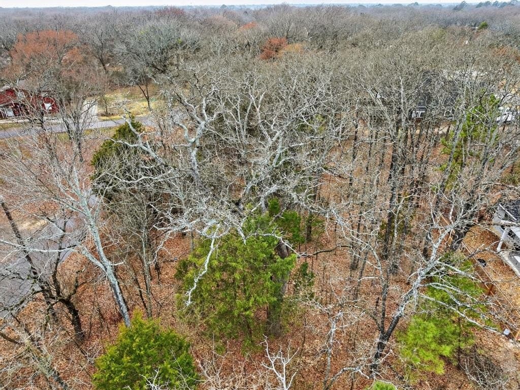 0.23 acres in Henderson County - photo 14