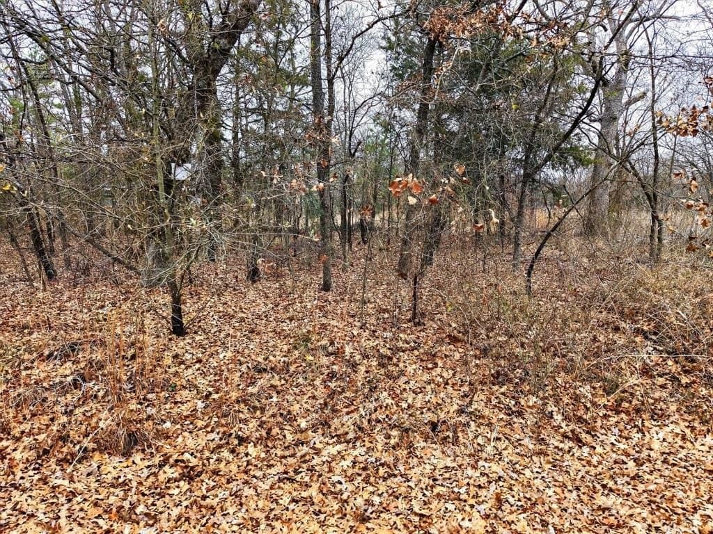 0.23 acres in Henderson County - photo 15