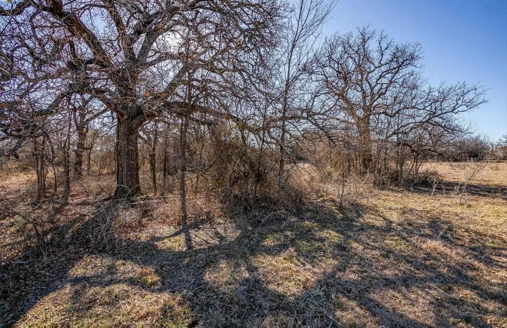 15.01 acres in Wise County - photo 10
