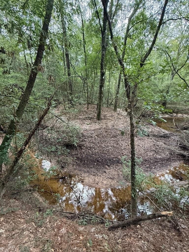 121 acres in Texas County - photo 18