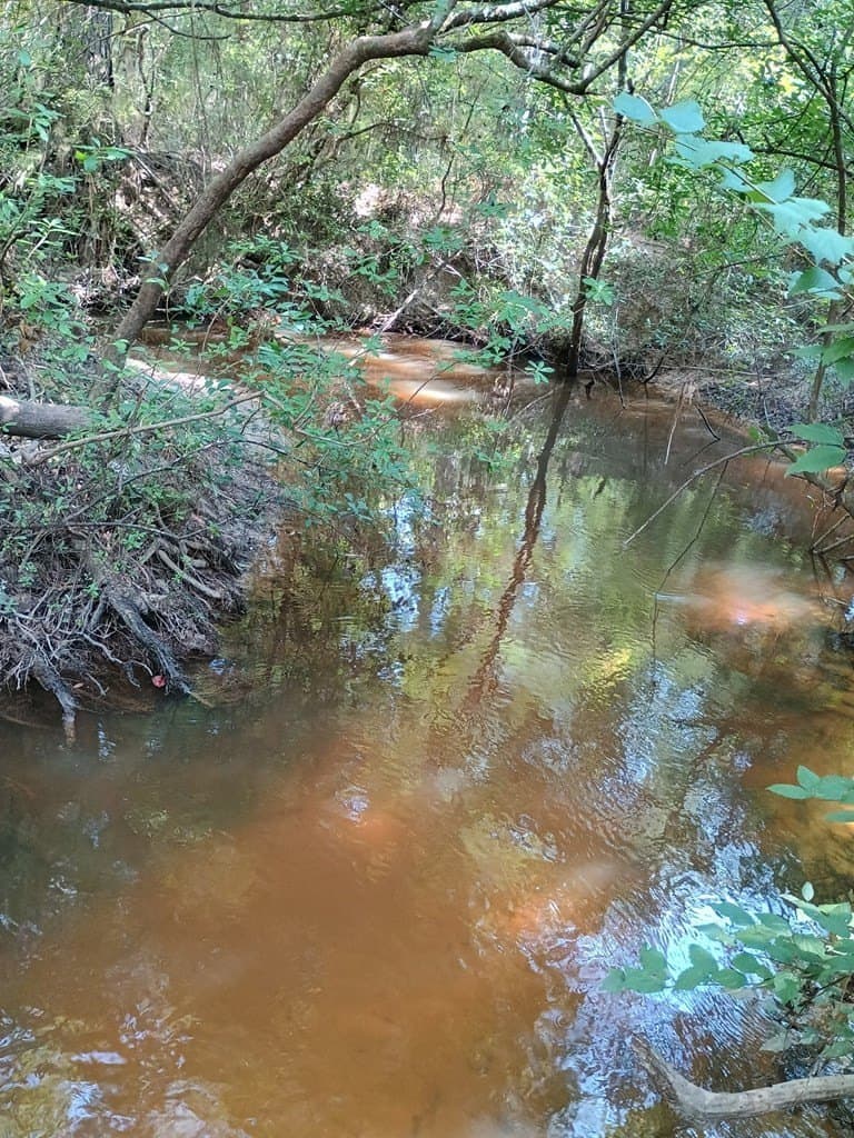 121 acres in Texas County - photo 15