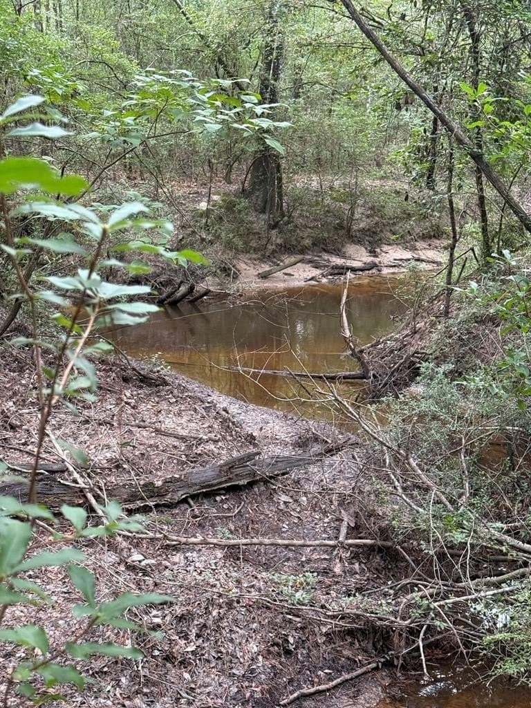121 acres in Texas County - photo 17