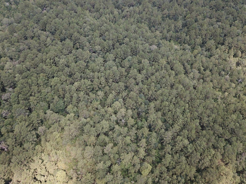 121 acres in Texas County - photo 5