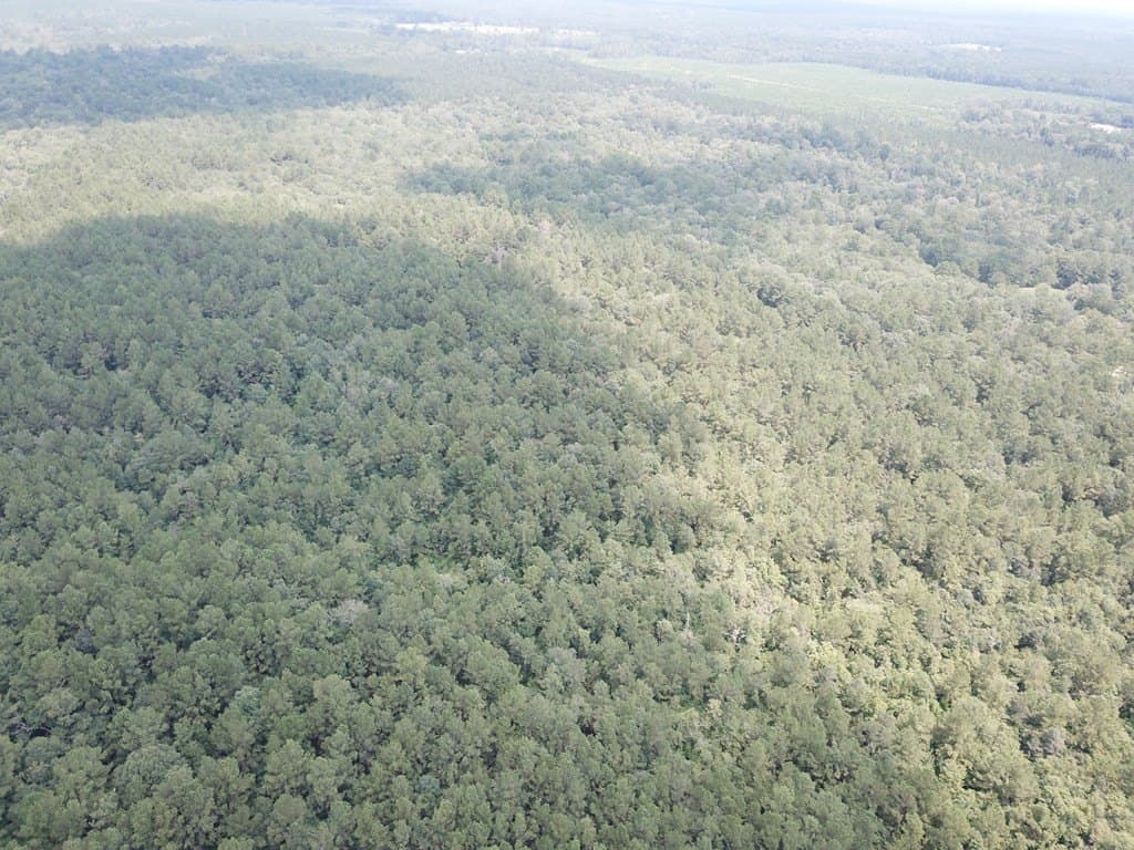 121 acres in Texas County - photo 3