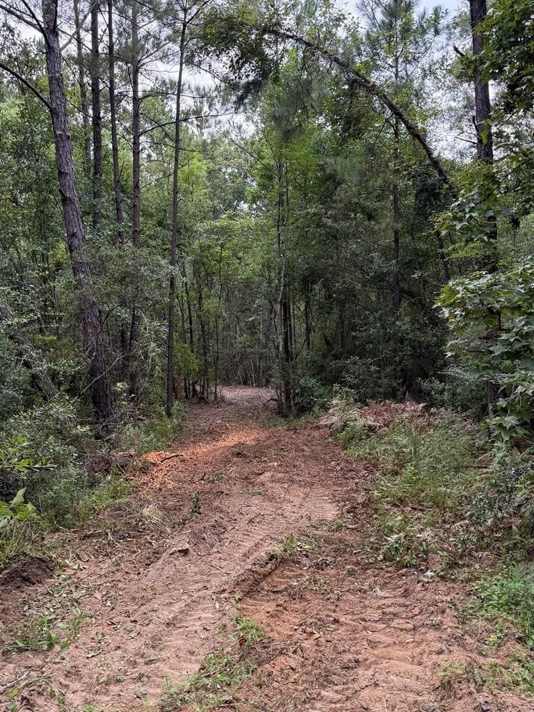 121 acres in Texas County - photo 23