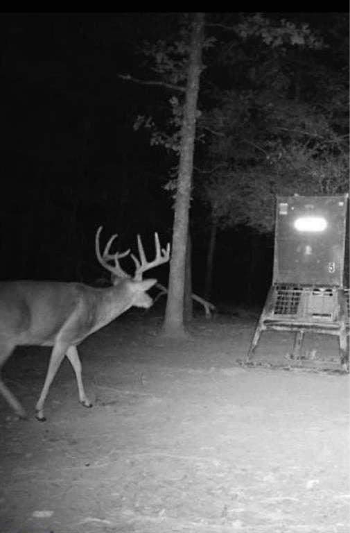 26.05 acres in Anderson County - photo 11