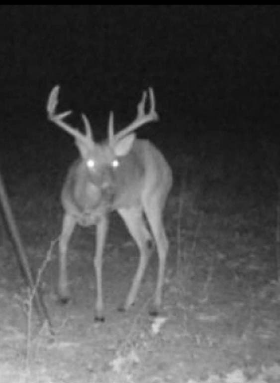 26.05 acres in Anderson County - photo 12
