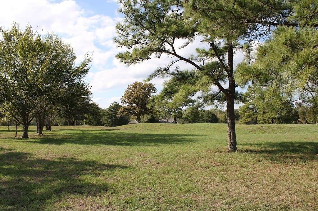 25.9 acres in Waller County - photo 10