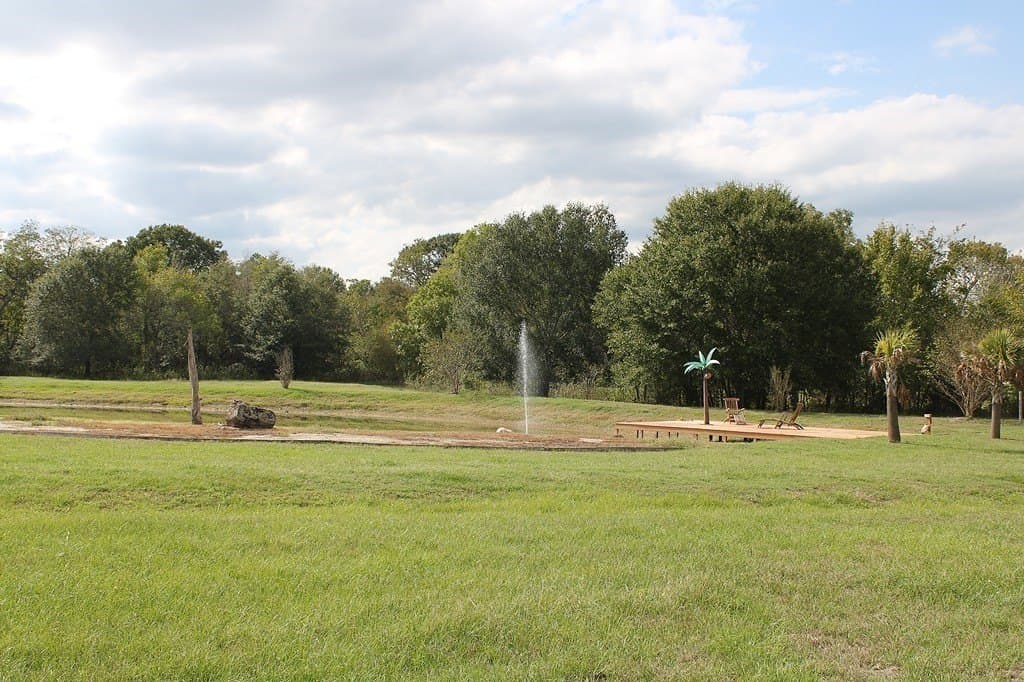 25.9 acres in Waller County - photo 23