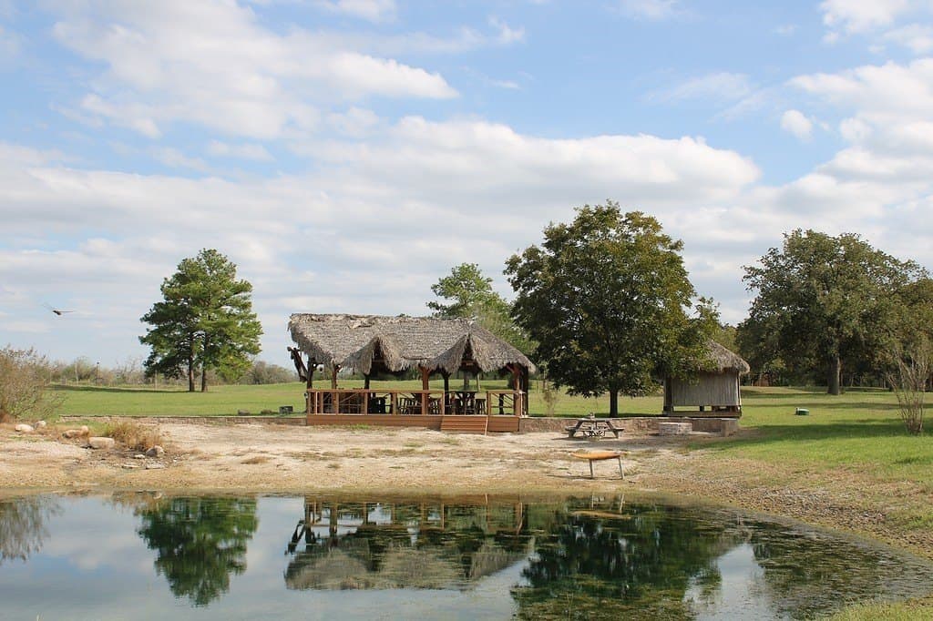 25.9 acres in Waller County - photo 19
