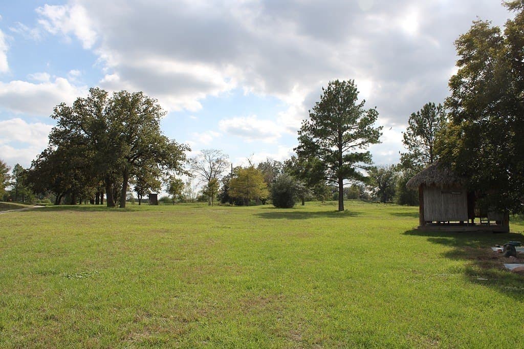 25.9 acres in Waller County - photo 18