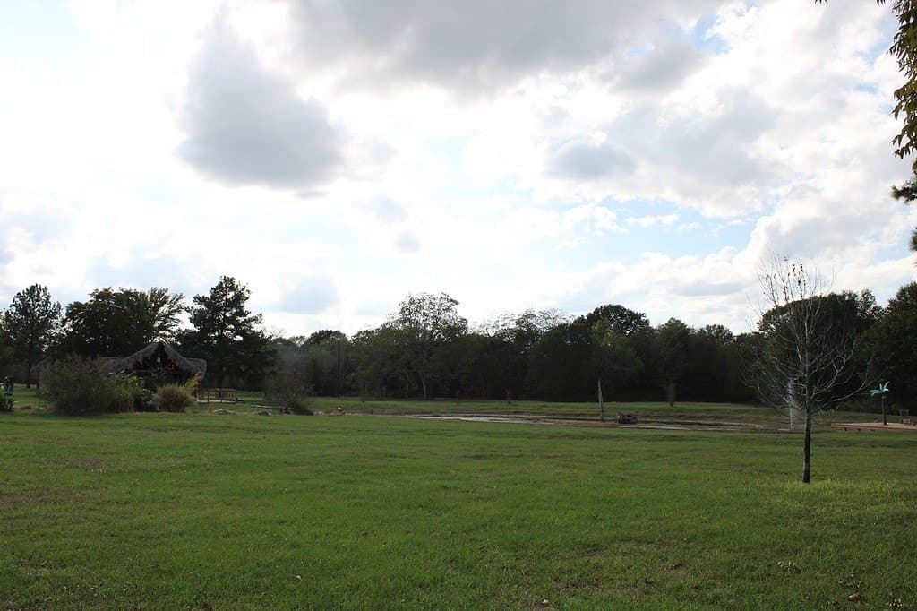25.9 acres in Waller County - photo 15