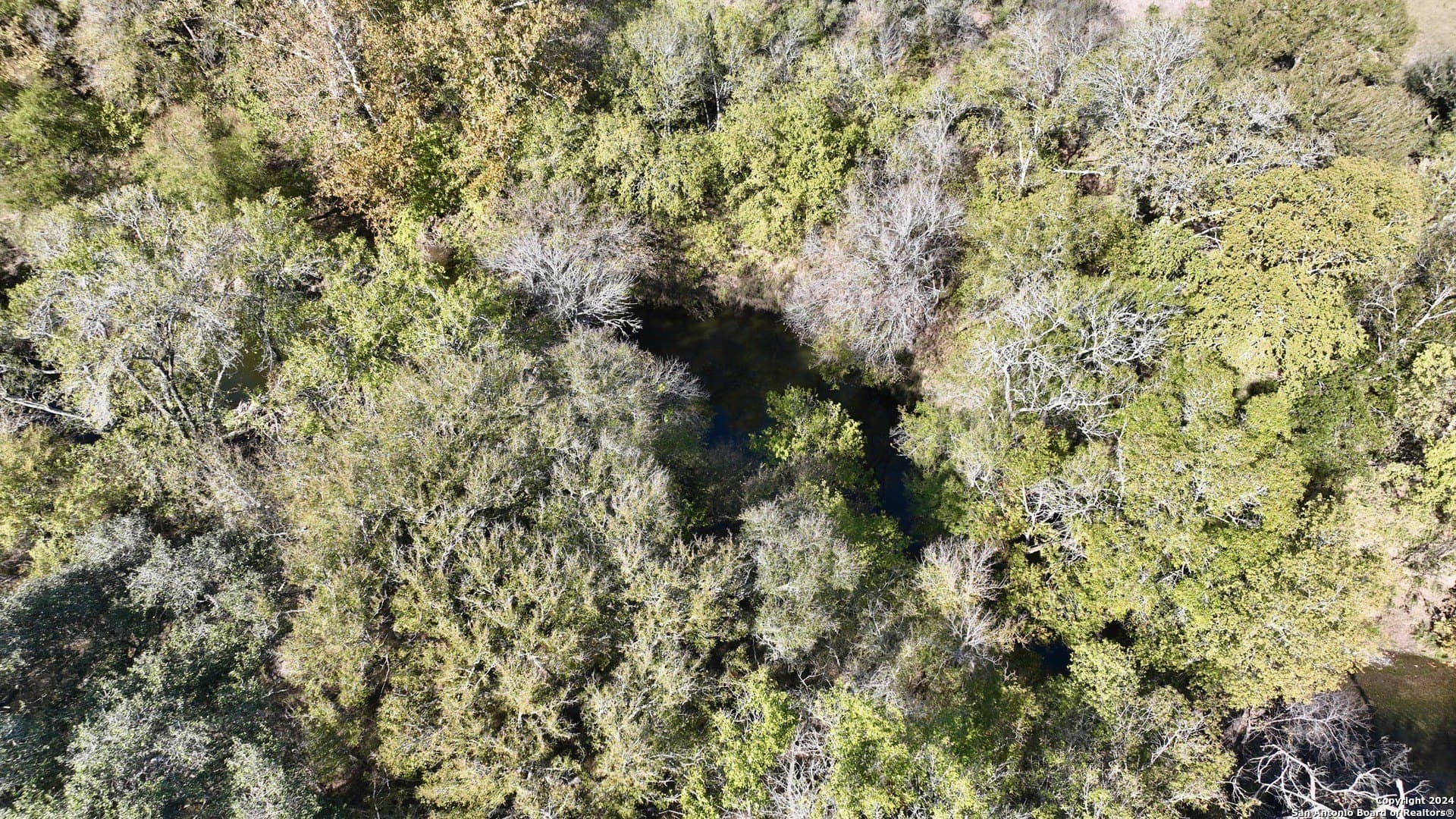 64.33 acres in Karnes County - photo 20