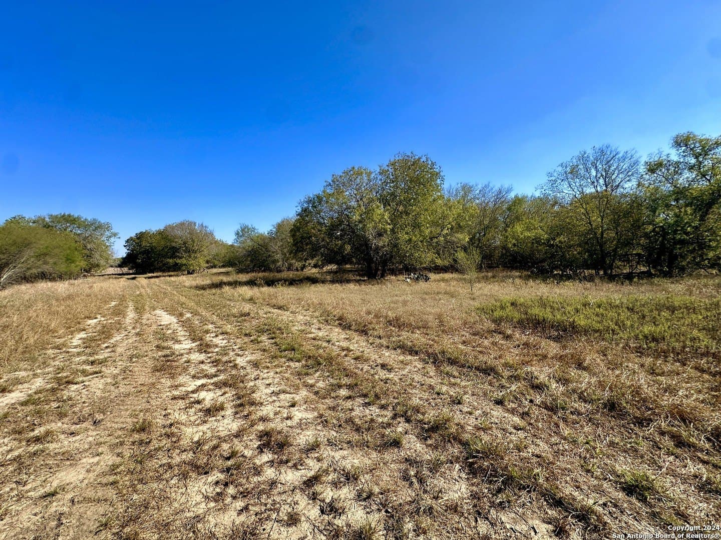 64.33 acres in Karnes County - photo 13