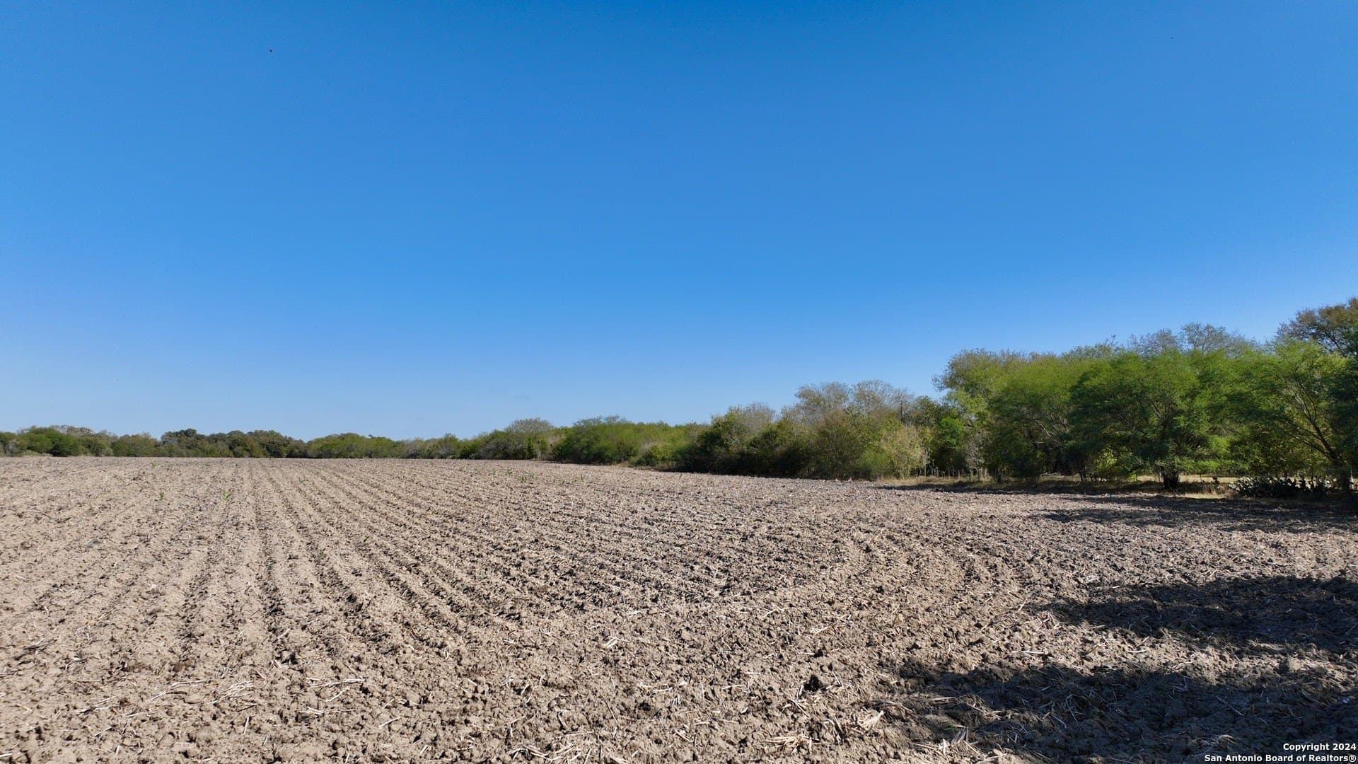 64.33 acres in Karnes County - photo 3