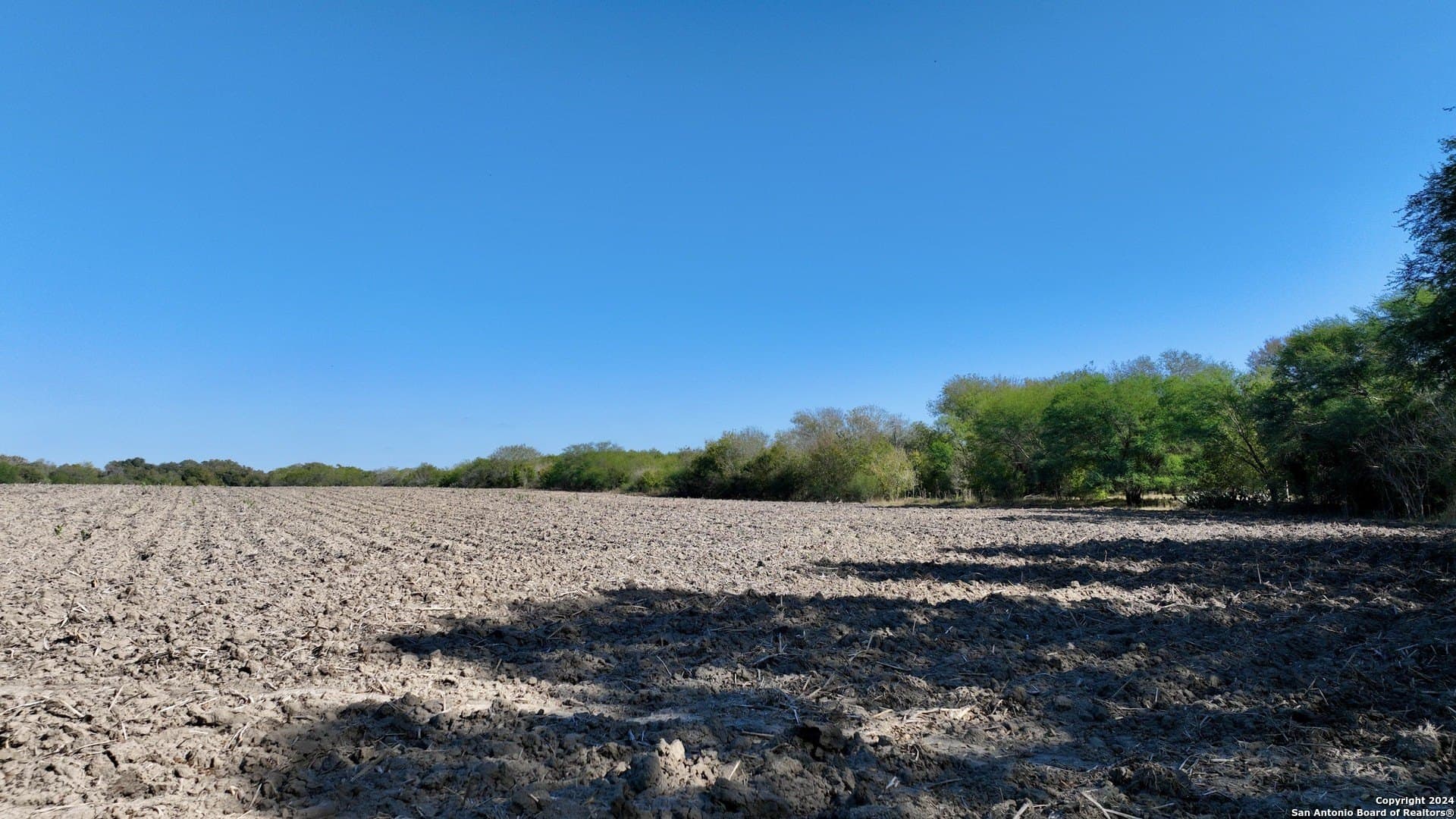 64.33 acres in Karnes County - photo 18