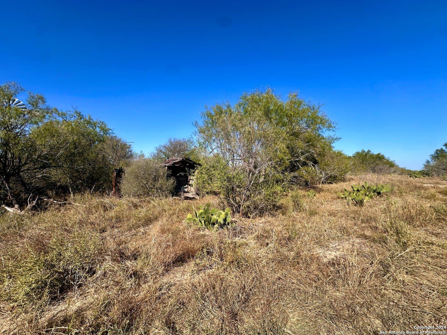 64.33 acres in Karnes County - photo 9