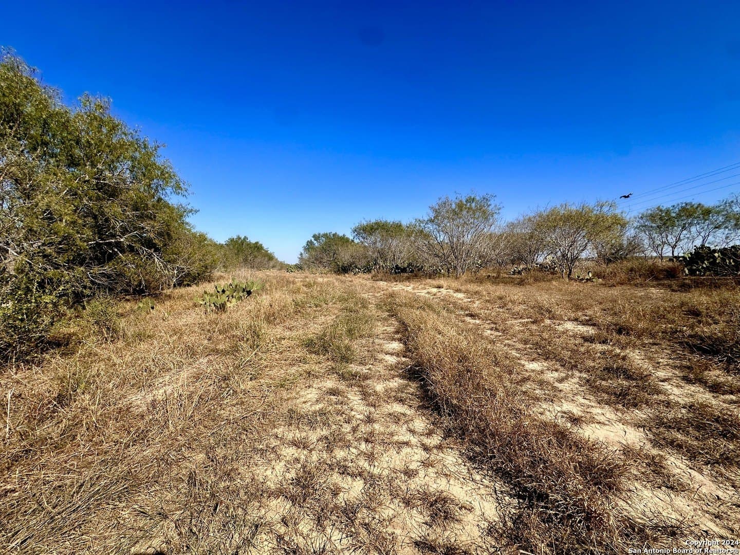 64.33 acres in Karnes County - photo 10