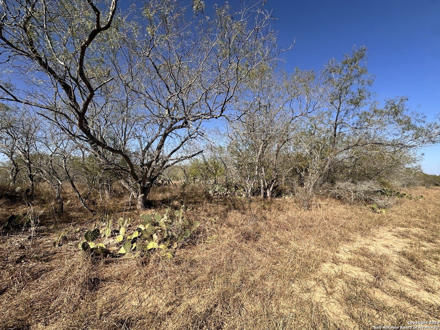 64.33 acres in Karnes County - photo 12