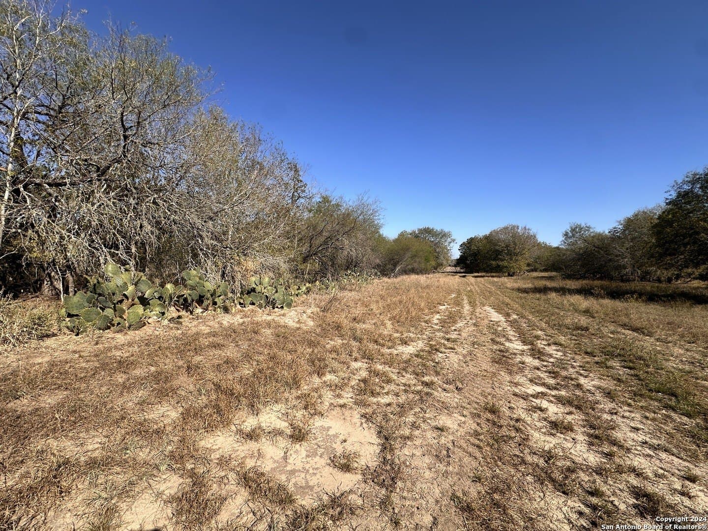 64.33 acres in Karnes County - photo 14