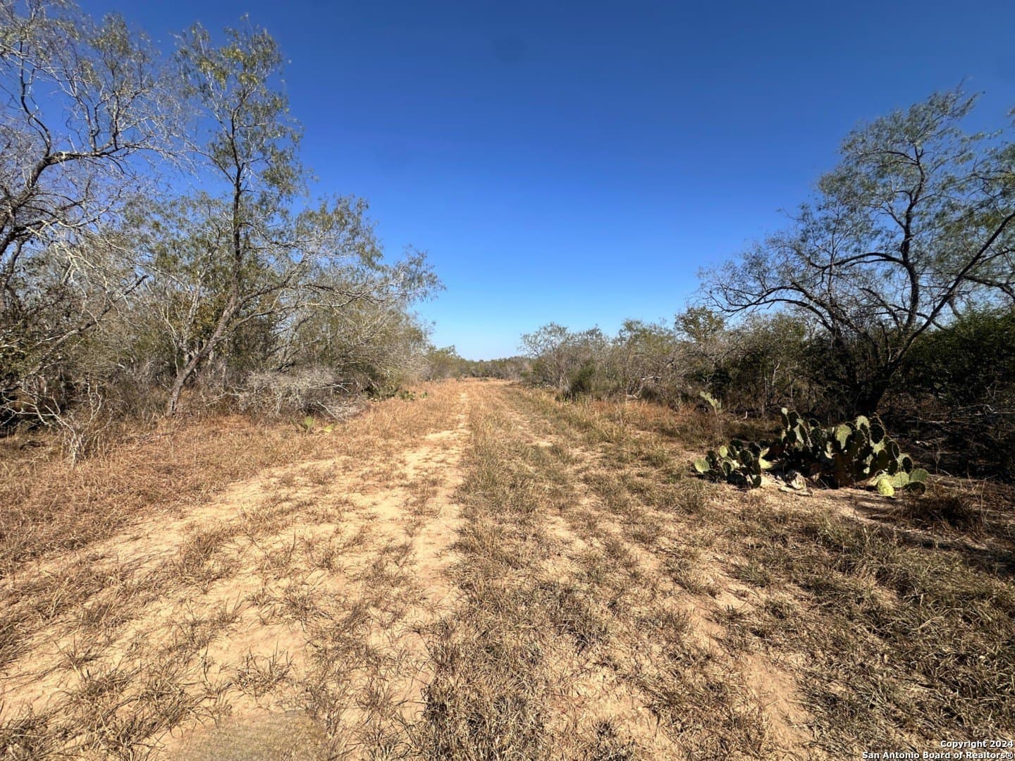 64.33 acres in Karnes County - photo 7