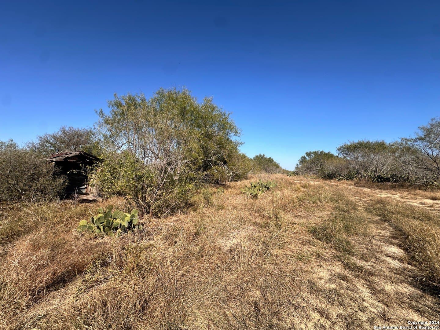 64.33 acres in Karnes County - photo 6