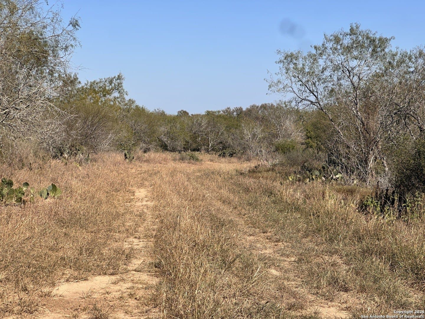 64.33 acres in Karnes County - photo 11