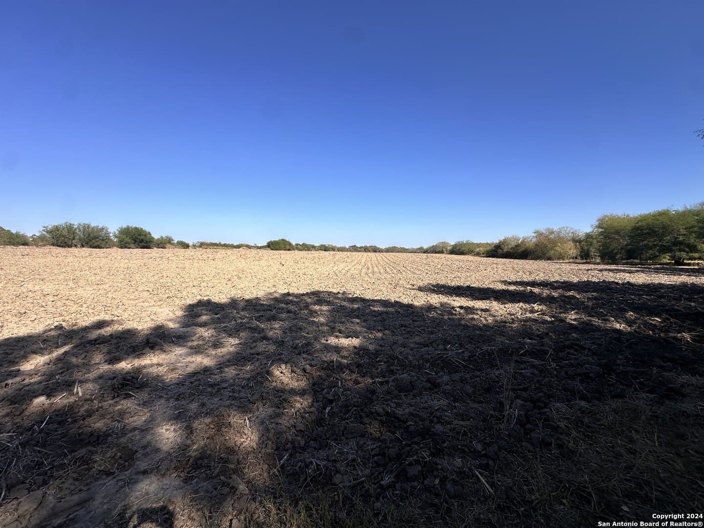 64.33 acres in Karnes County - photo 19