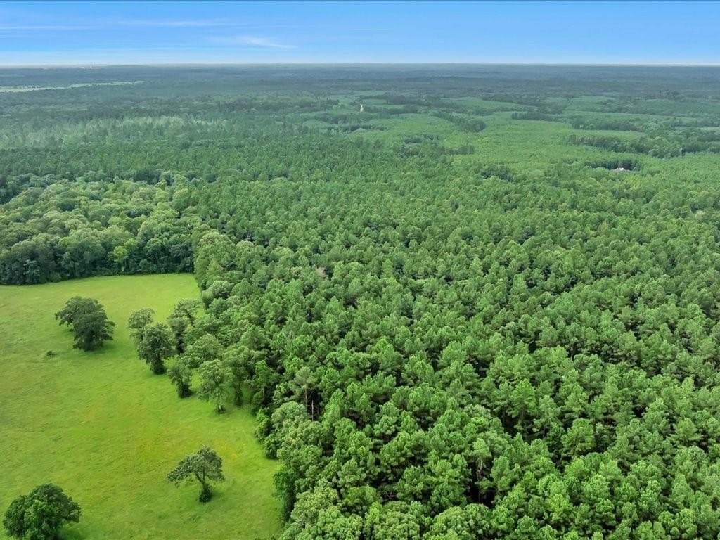 22 acres in Angelina County - photo 16