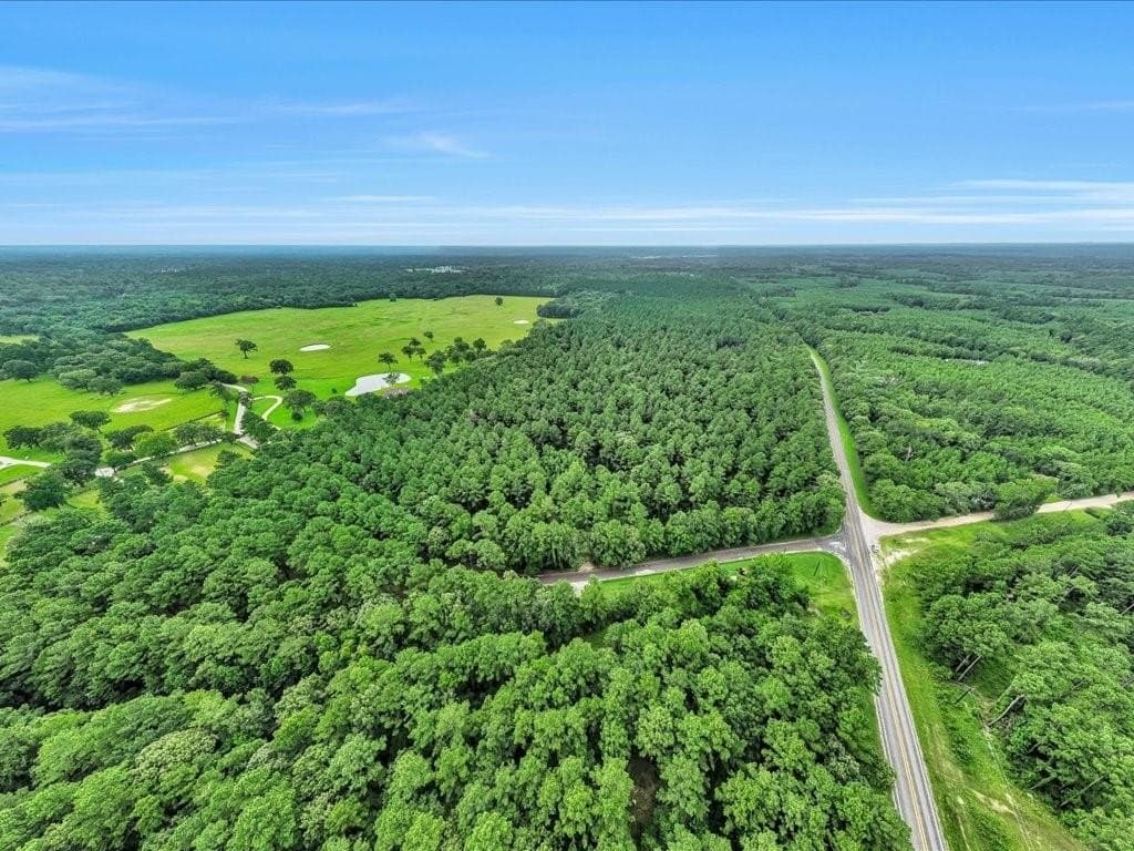 22 acres in Angelina County - photo 14